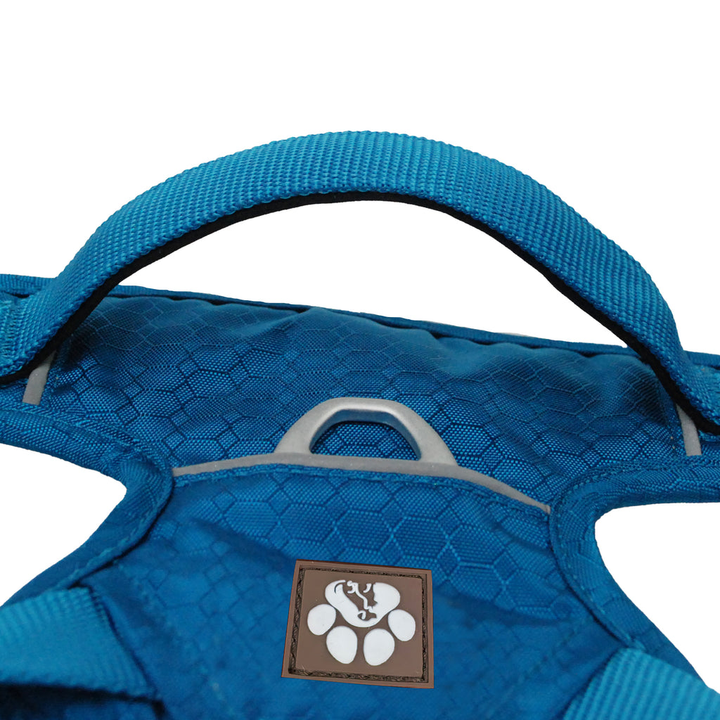 Dog Harness | Blue image 2