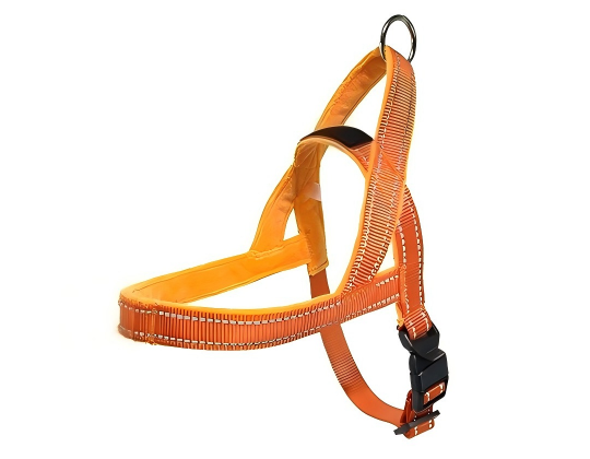 Dog Harness | Orange image 4