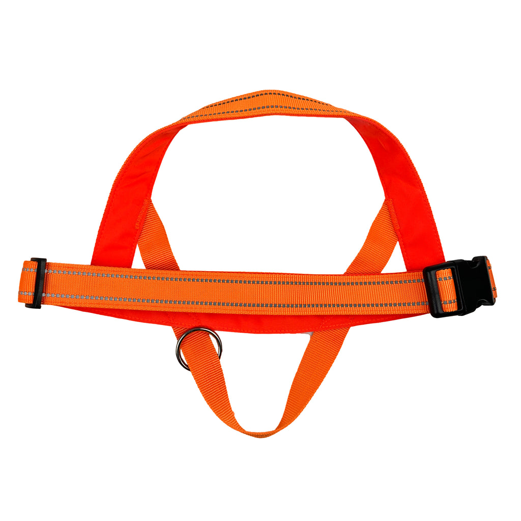 Dog Harness | Orange image 2