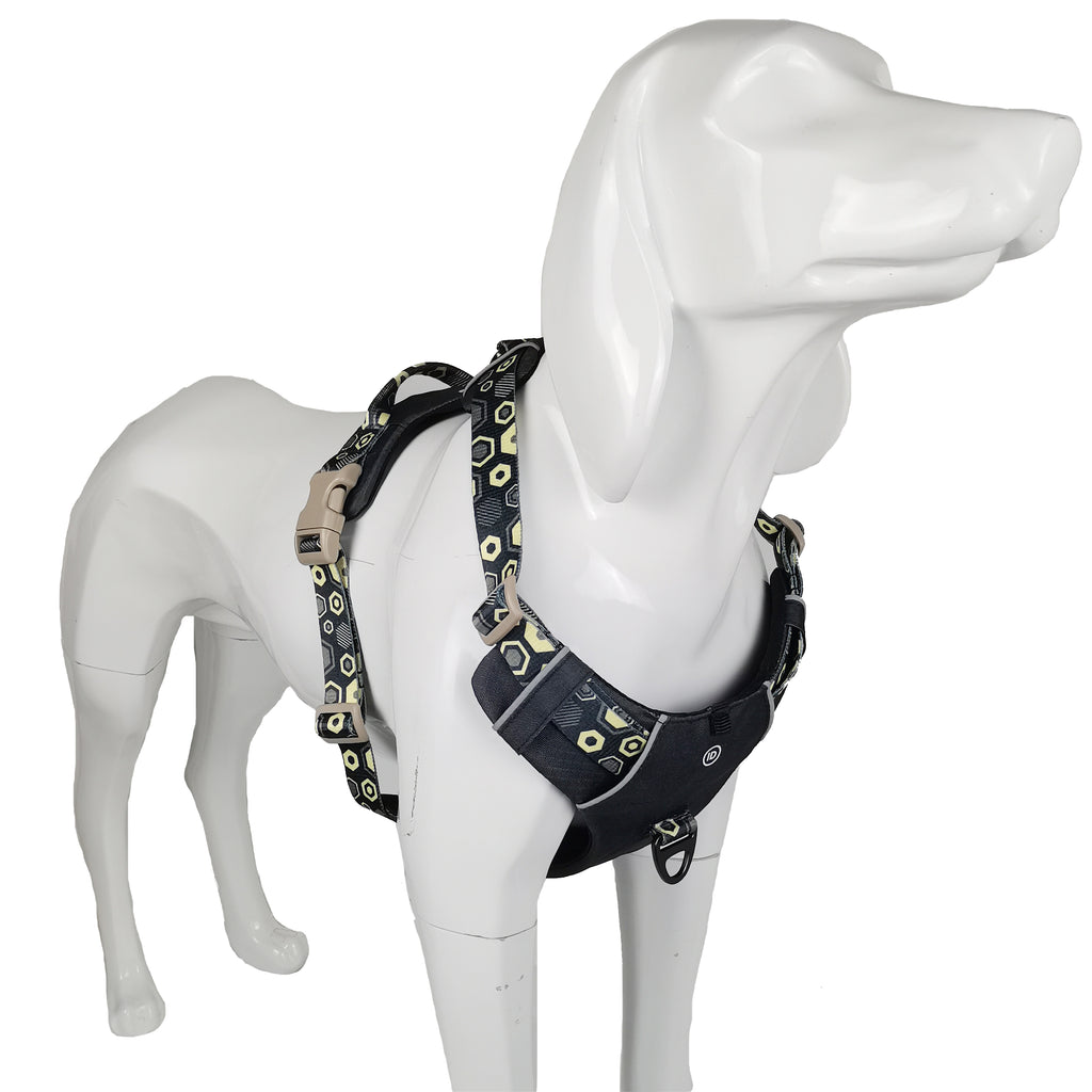 Dog Harness | Green image 1