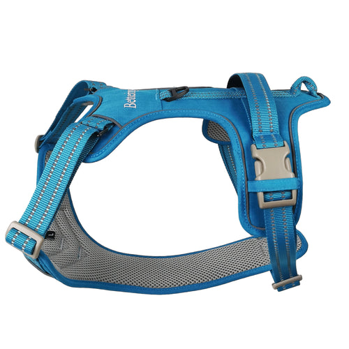 Dog Harness | Blue image 0